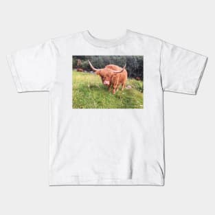 Scottish Highland Cattle Cow 2078 Kids T-Shirt